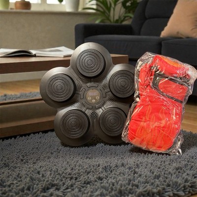 Electronic Boxing Trainer Reaction Wall Pad w/ Gloves & Timer  USB Rechargeable