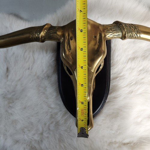 Vintage MCM Brass Texas Longhorn Steer Skull European Mount-18"W - Picture 15 of 15