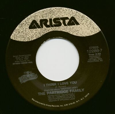 The Partridge Family - I Think I Love You - Doesn't Somebody Want To Be Wante...
