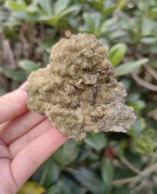 Rare And Beautiful Sample Of 'Yellow Rose' Iron Ore Calcite Bound Mineral Found