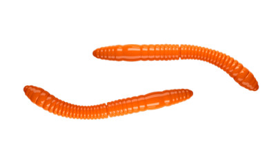 LIBRA LURES FATTY D'WORM TOURNAMENT 55mm Forellenköder Softbait Gummiköder Set