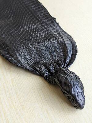 Black Cobra Snake Skin with Head Snakeskin Taxidermy Hide Leather Craft Supply