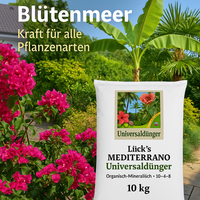 UniversaldüNger SpezialdüNger FüR Mediterrane Pflanzen Original Mediterrano 10KG