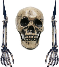 Realistic Skeleton Stakes Halloween Decor Scary Ground Breaker Skull  Skeleton