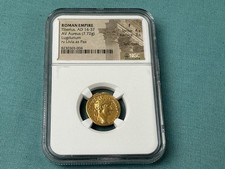  on The Hot Collector