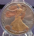 2001 American Eagle Walking Liberty Yellow & Rose Gold $1 1oz .999 Fine Silver