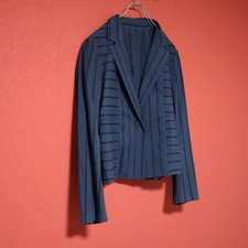 Pleats Please HaaT Issey Miyake Pleated Jacket 17ss Blue Border Stripe Size 3 JP