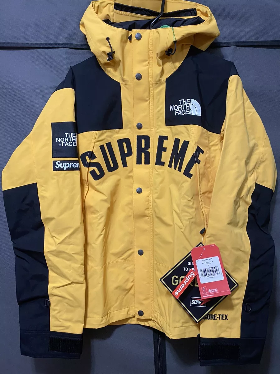 supreme northface arc log mountain parka