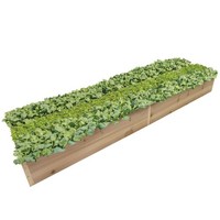 Pflanzkasten FrüHbeet KräUterbeet Blumenbeet Von Terra-Garten