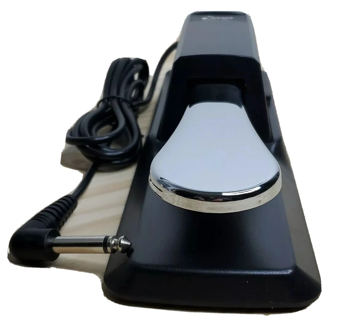 Donner 2024 sustain pedal