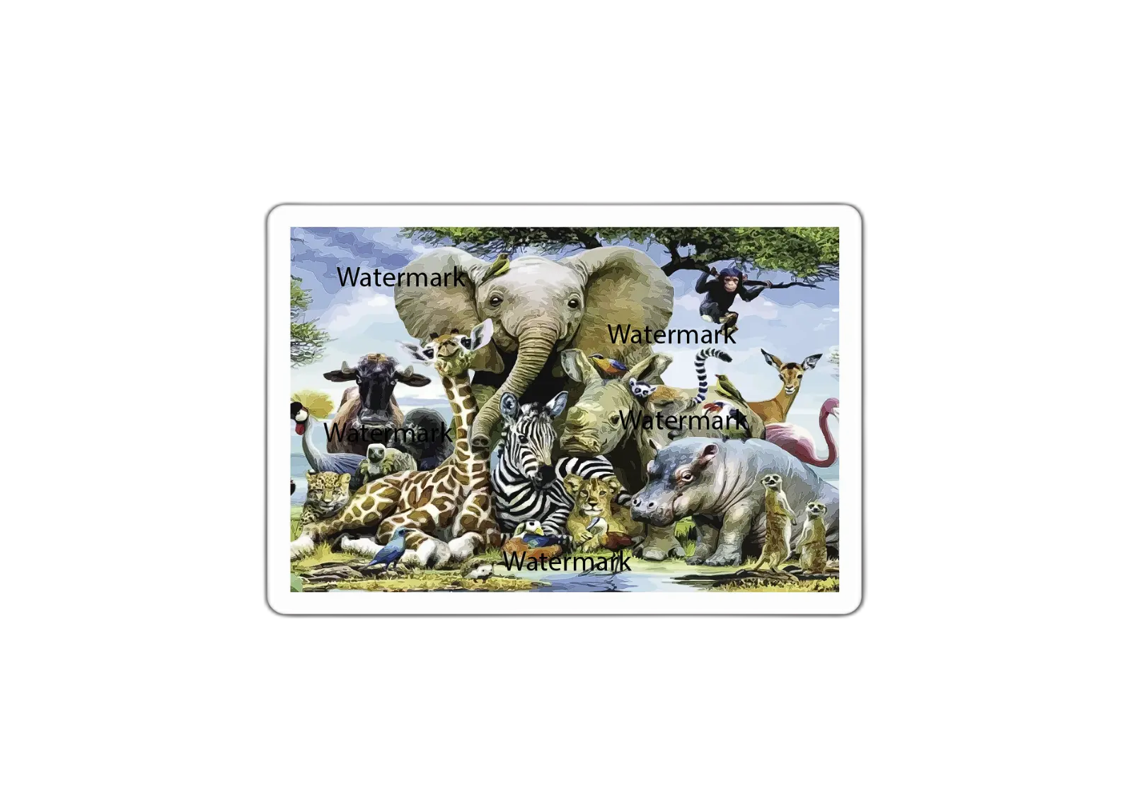 Animal Babies Portrait Wildlife Sticker Decal