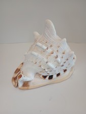 Queen Conch Sea Shell 9" Large Pink Beach Coastal Decoration Collectable Decor