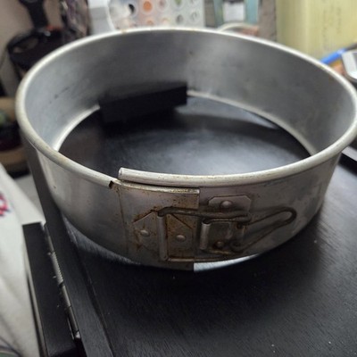 Vintage 9 Inch Spring Form (JUST THE CIRCLE)