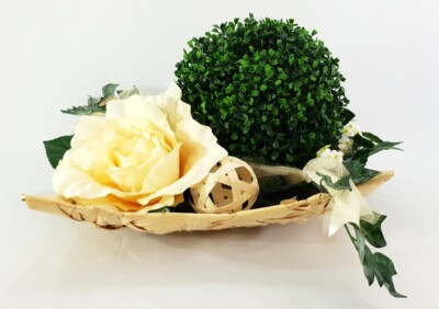 bonsai holland kaufen Bonsai Anzuchtset kaufen ➤ Handmade & Plastikfrei main image 0