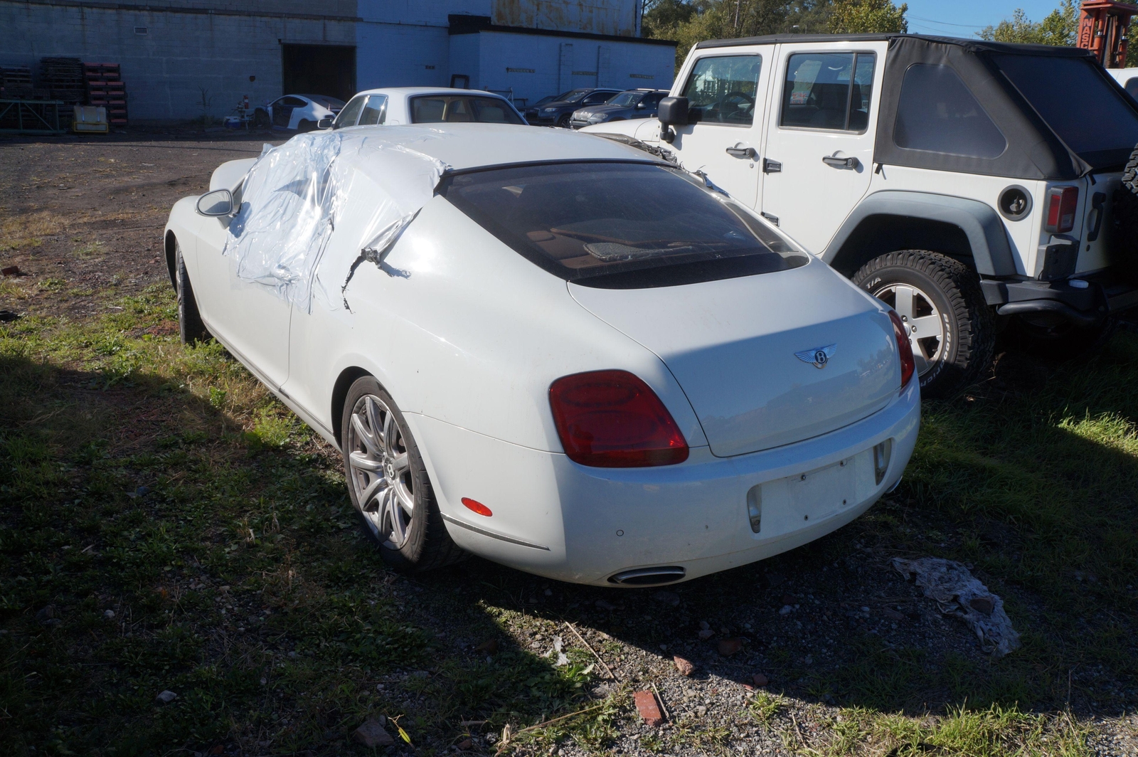 Rear Left Air Spring Shock Absorber Strut 3W0616001 Bentley Continental GT 2006