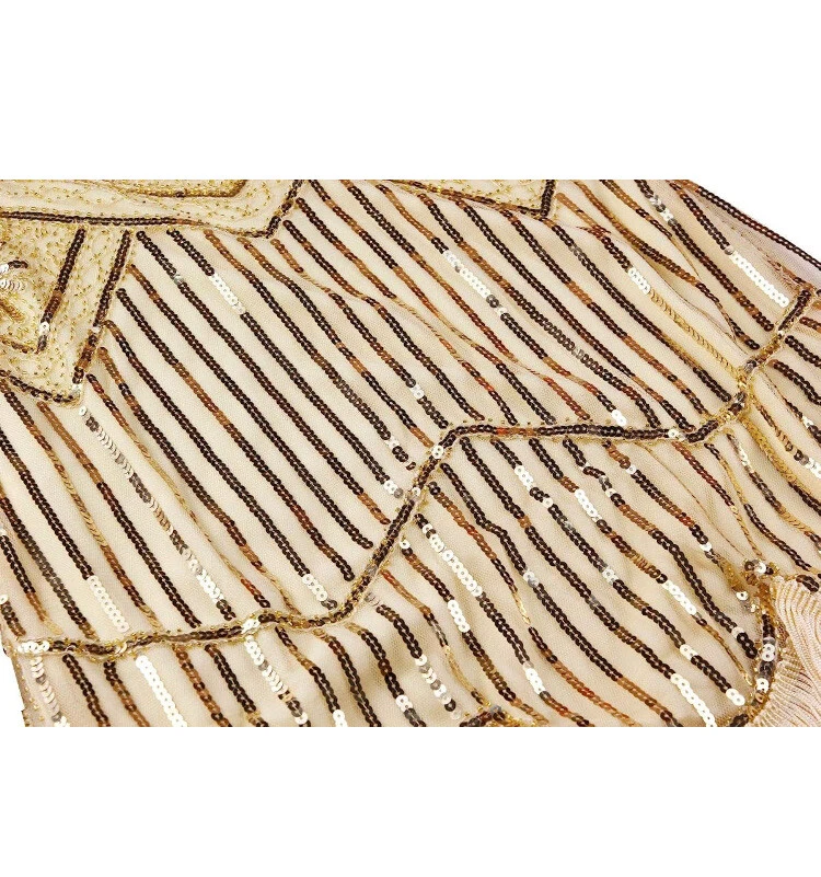 Vestido Gatsby Años 20 Lentejuelas Flecos Paisley Aleta con Accesorios Años 20 Conjunto Grande Foto 4 de 4