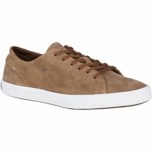 sperry suede sneakers