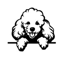 New Poodle Puppy Dog Decal Sticker Black or White Vinyl Handmade Car Decal 4  