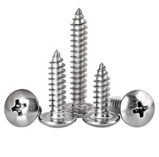 125Pcs Self Tapping Screws 304 Stainless Steel,M4 Wood Screws Kit,Truss Head Sel