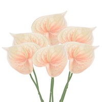 "13\" KüNstliche Anthurium Lilien Blumen 6 Pack Dauerhafte Blume Hell Orange"