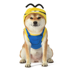 Minions The Rise of Gru Dog Costume Size Small