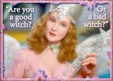 ATA-BOY WIZARD OF OZ ARE YOU A GOOD WITCH OR A BAD WITCH? MAGNET 2.5” X 3.5” NEW