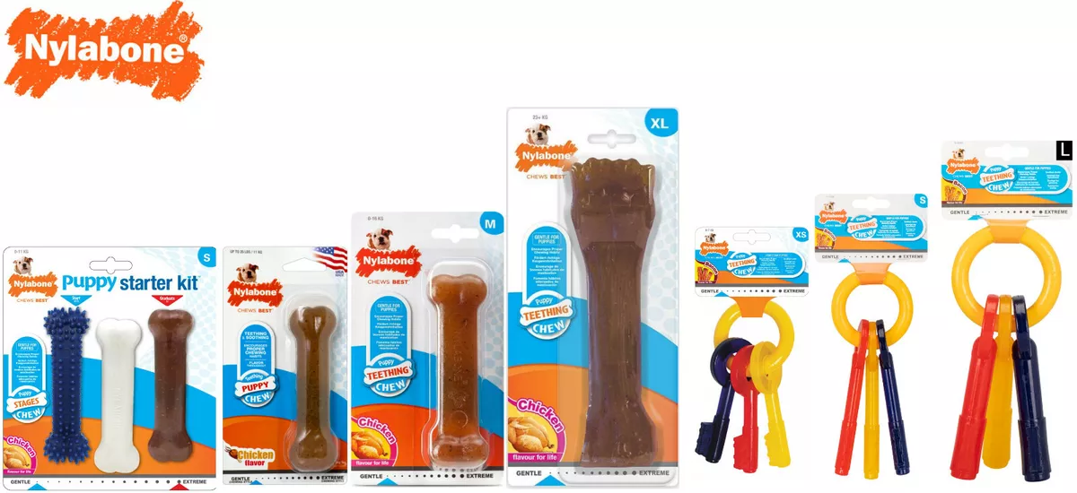 Nylabone keys hotsell