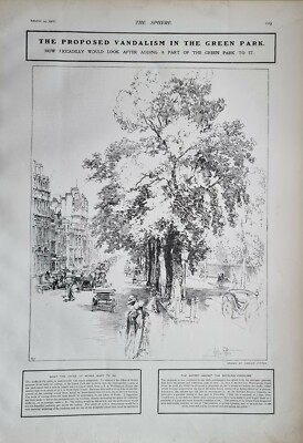 1901 PRINT PICCADILLY PROPOSED VANDALISM IN GREEN PARK