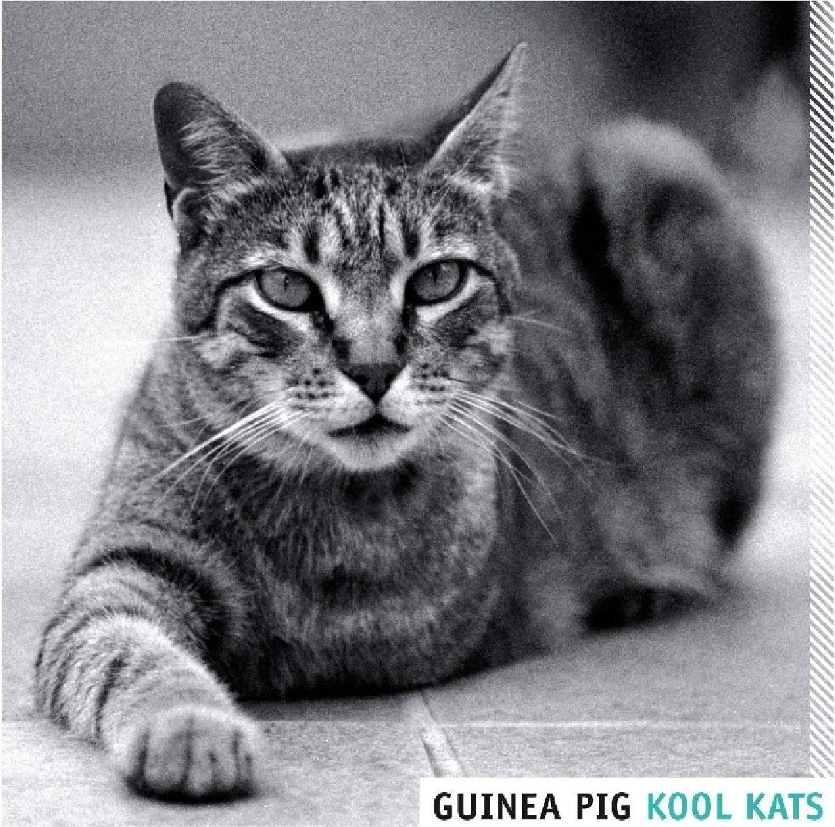 Guinea Pig! Kool Kats (CD)