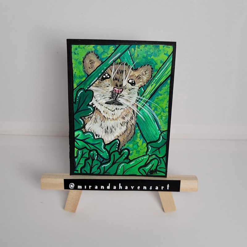 ACEO Original MirandaHavensArt, Curious Mouse, Water Color Painting Signed
