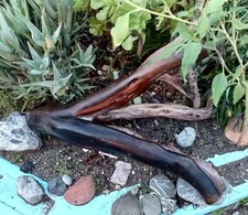 Large Driftwood Manzanita Dark Rare Unique 25" 15" 15"