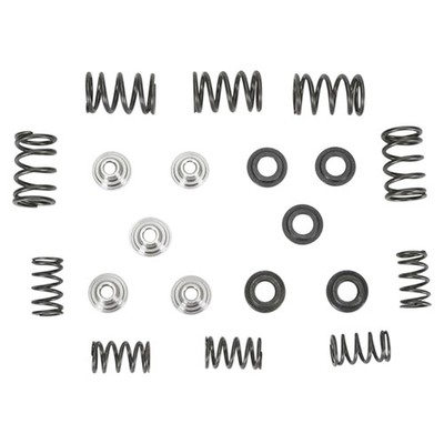 Kibblewhite Precision Valve Spring Kit - 80-80030
