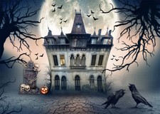 Halloween Haunted House Backdrops Photo Studio Props Tombstone Skull Background