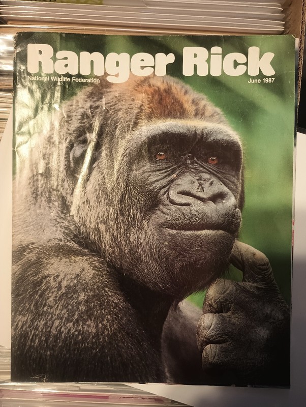 Ranger Rick Magazine June 1987 Hard To Find! National Wildlife Federation 