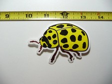 LADYBIRD LADYBUG SMALL STICKER DECAL BUG INSECT FUN FUNNY