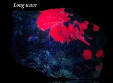 254GM Fluorescent Ruby on black metrix Specimen from Badakhshan Afghanistan