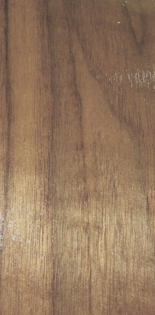 Foto 12 di 12