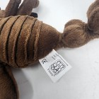 Bild 10 von 10