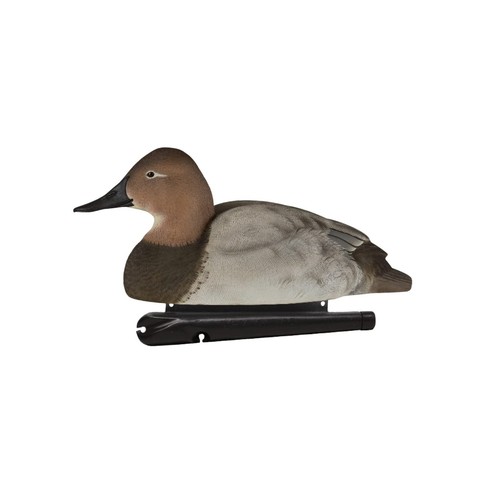 Avian-X Topflight Canvasbacks Durable Ultra Realistic Floating Hunting Duck D... - Picture 5 of 6