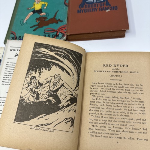 Vintage Western Kids Book Lot - Roy Rogers, Red Ryder, Smoky, Rover Boys - Foto 5 di 10