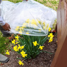 36 In. X 25 Ft. 8 Mil Clear Film Sheeting Weatherstrip Adhesive