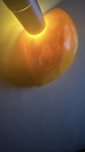 Large Natural Baltic Amber Butterscotch Egg Yolk brooch 13 gram - Picture 8 of 9