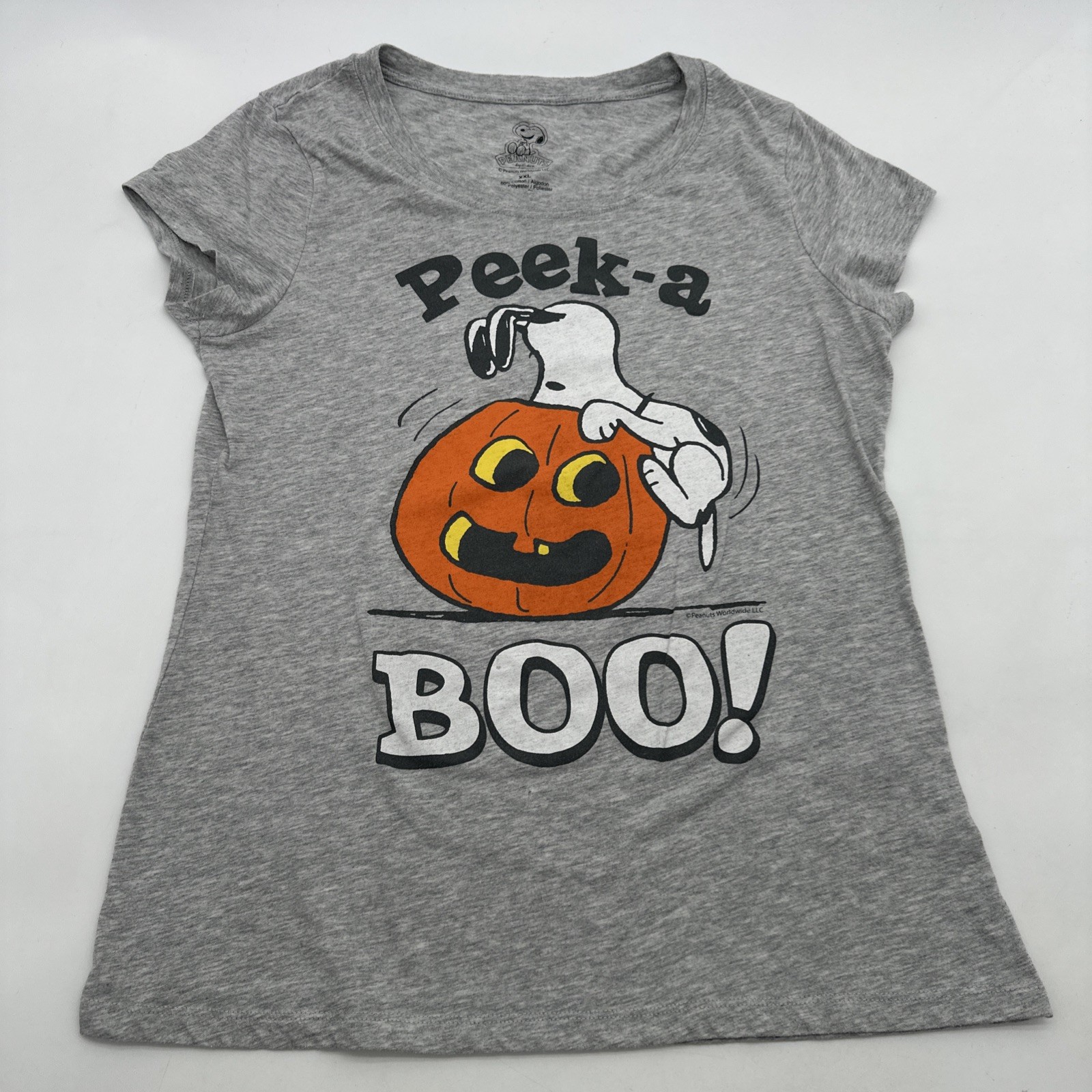 Schulz Peanuts Graphic Print Logo T-Shirt for Women in 2XL Gray #25546