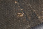 Bild 7 von 8