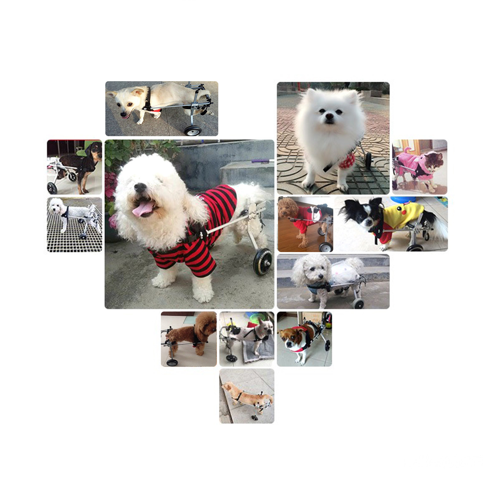 Pet Wheelchair for back legs, S/M/L Dog Wheelchair For Handicapped Dog