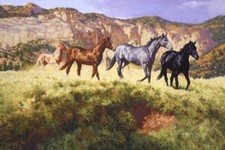 Ceramic Backsplash Tile Mural Horse Animal Kitchen/Bathroom - At The Crossing