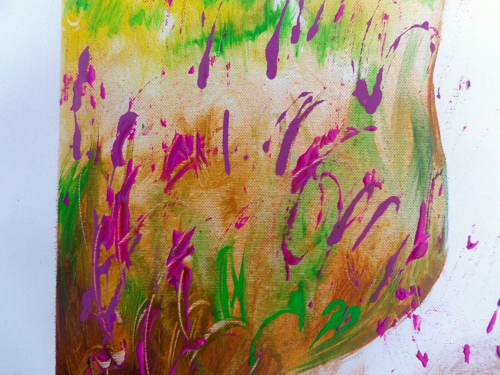 Foto 5 di 7