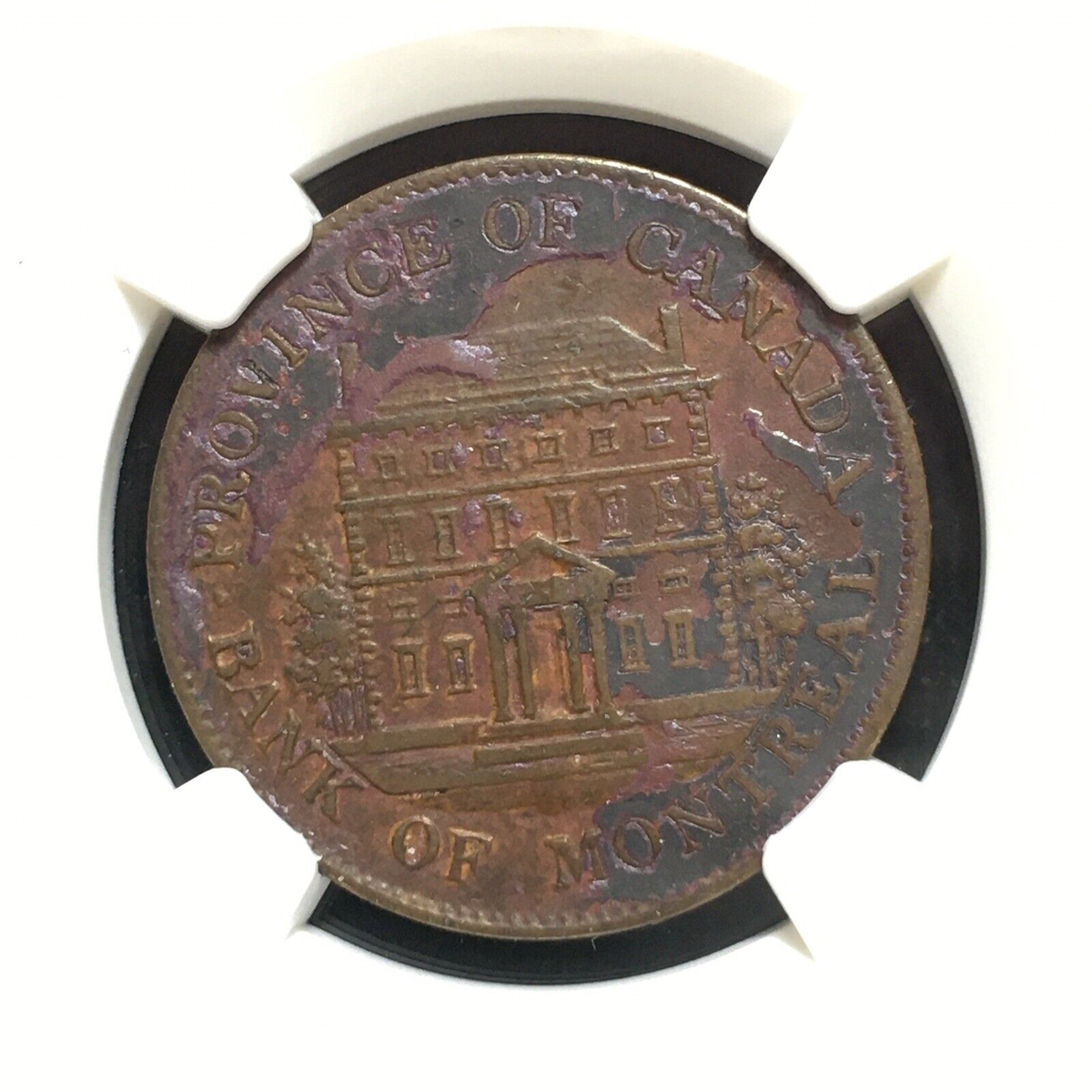 のんぺんページ 1842 CANADA 1/2 PENNY PC-1A2 BANK M. TOKEN XF DETS. NGC, MEDIUM