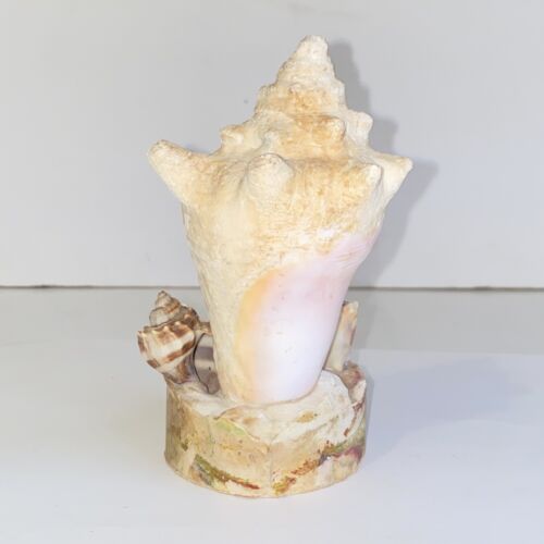 Vintage MCM Seashell Indoor Decorative Working Thermometer Figurine Paperweight - Picture 5 of 15