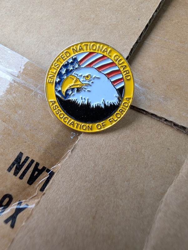 Enlisted National Guard Association of Florida Pin